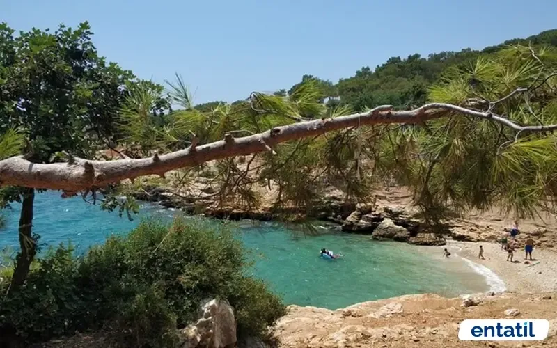 Akyar Koyu Kamp Alanı