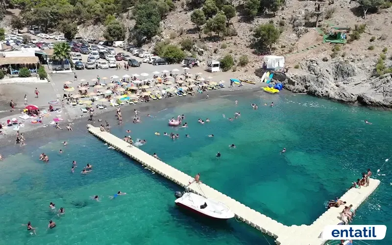 Aşı Koyu