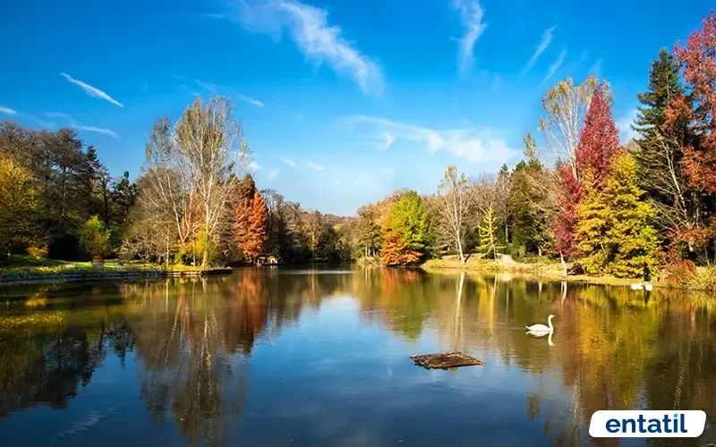 Atatürk Arboretumu Giriş Ücreti