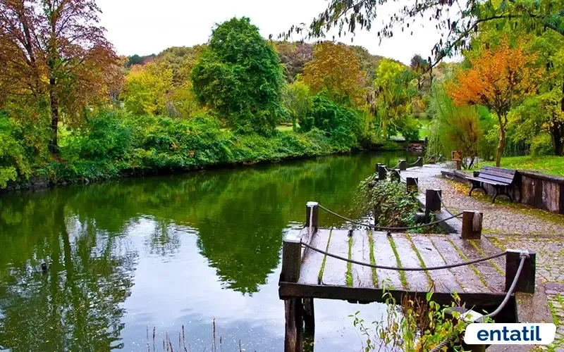 Atatürk Arboretumu Göleti