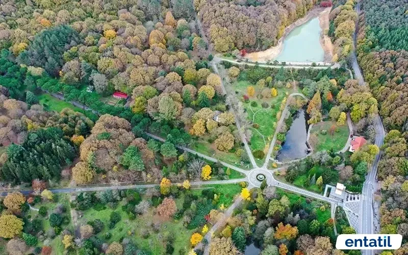 Atatürk Arboretumu Havadan Görünümü