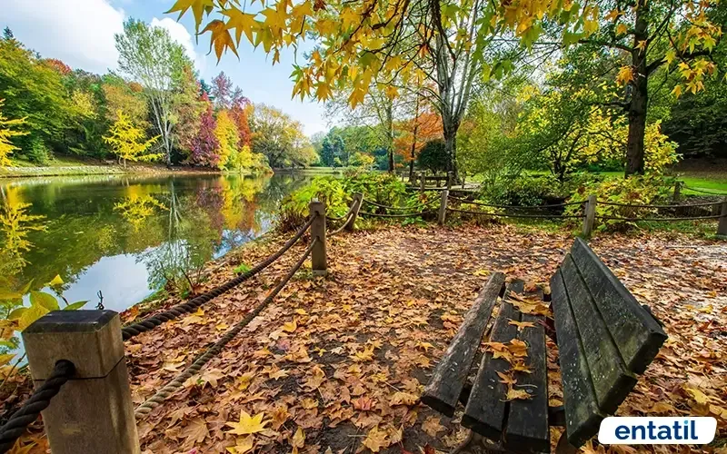 Atatürk Arboretumu Sonbahar
