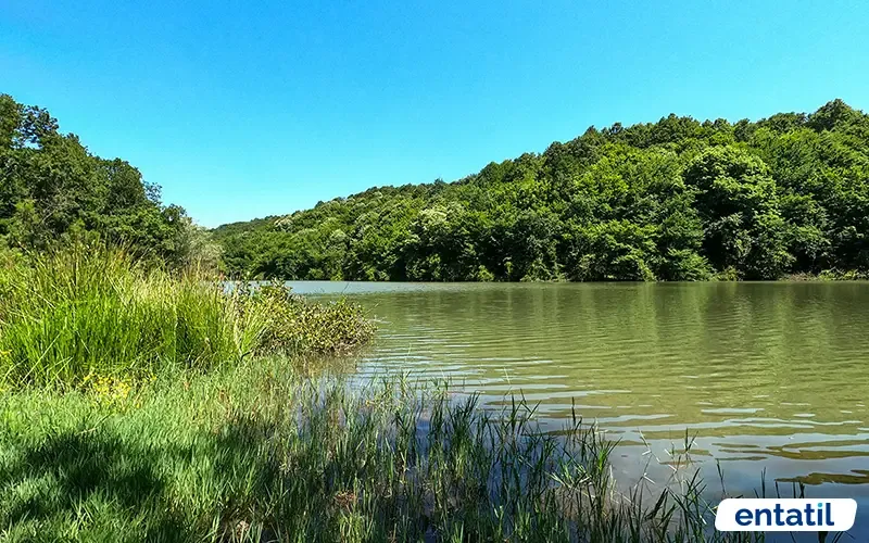 Bozhane Köyü Kamp Alanı