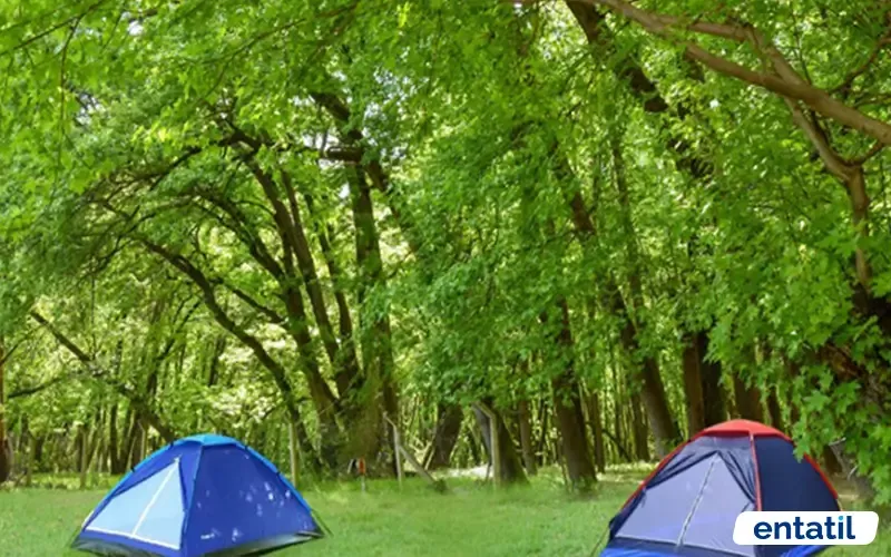 Günlüklü Kamp