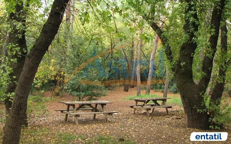 Günnücek Orman Parkı