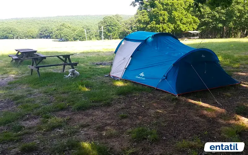 İhsaniye Camping