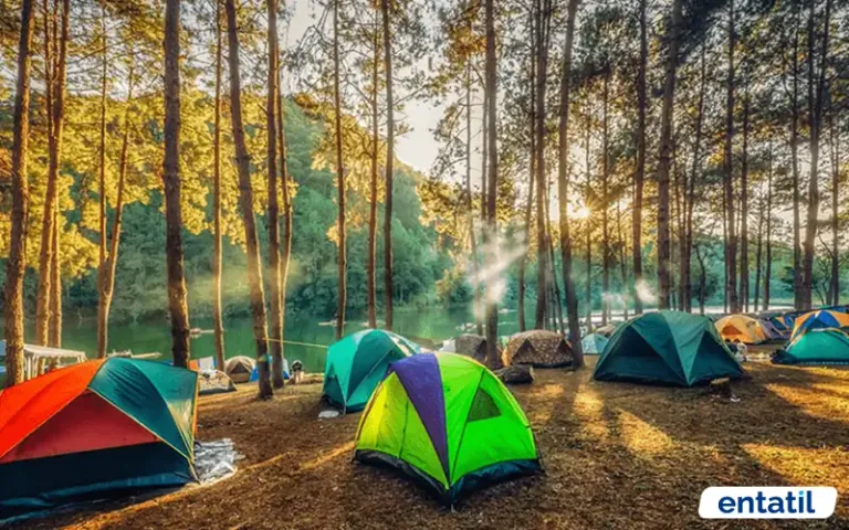 İstanbul Kamp Alanları