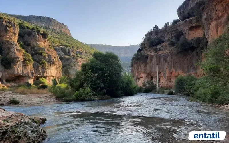 Kayacı Vadisi kamp alanı