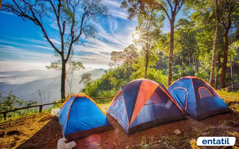 Marmaris Kamp Alanları