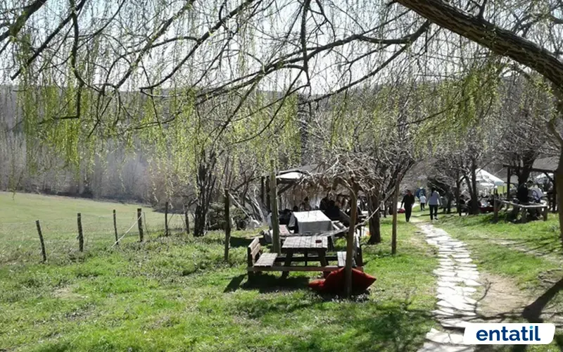 Polonezköy Kamp Alanı