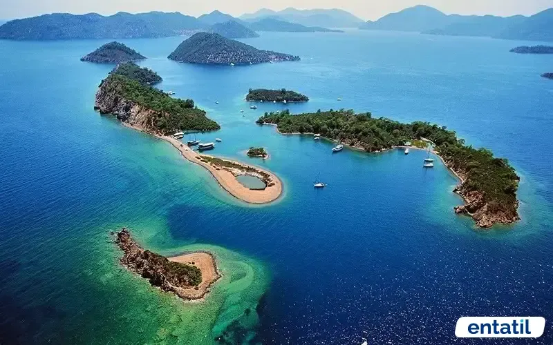 Yassıcalar