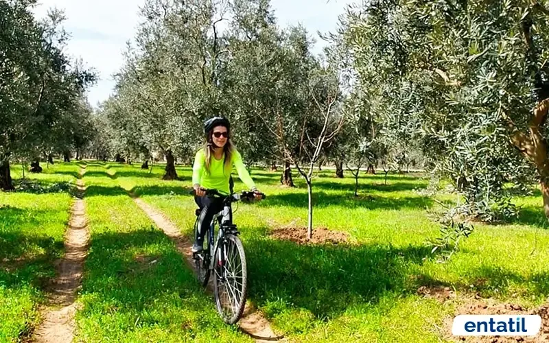 Evliya Çelebi Bisiklet ve Yürüyüş Yolu