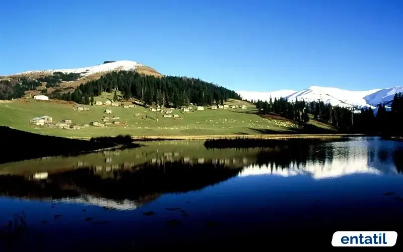 Gölyanı Yaylası