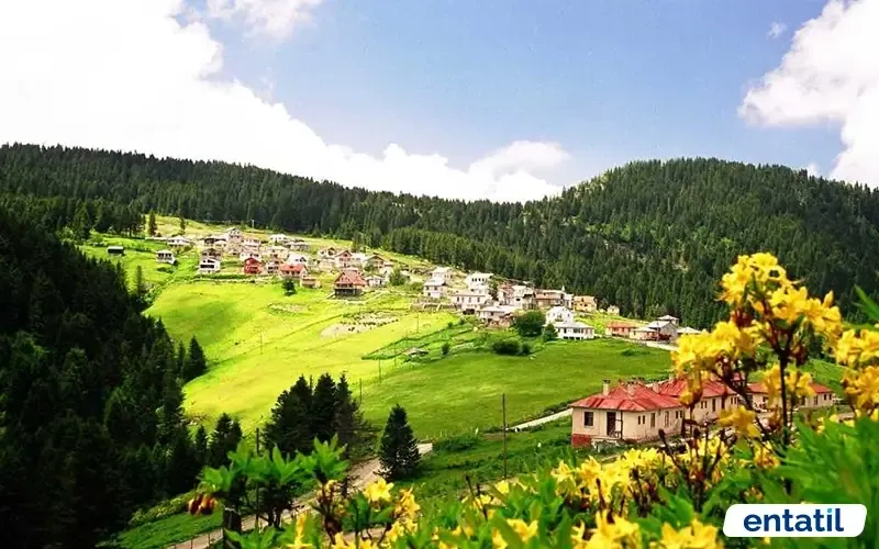 Kulakkaya Yaylası