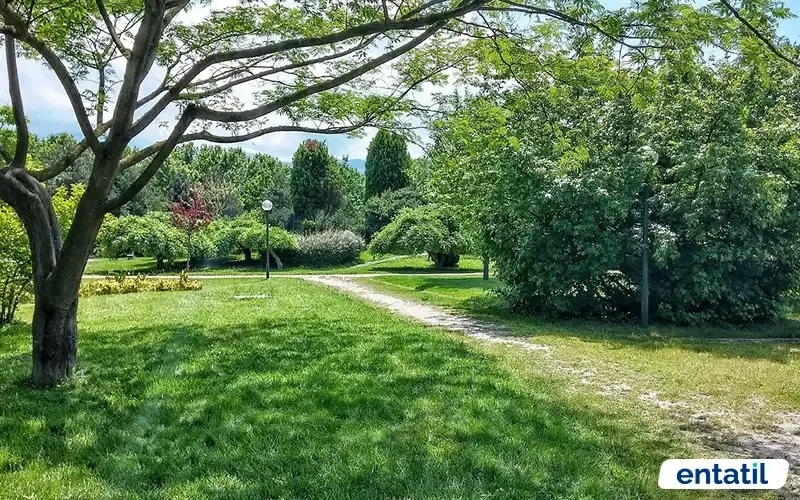 Soğanlı Botanik Parkı