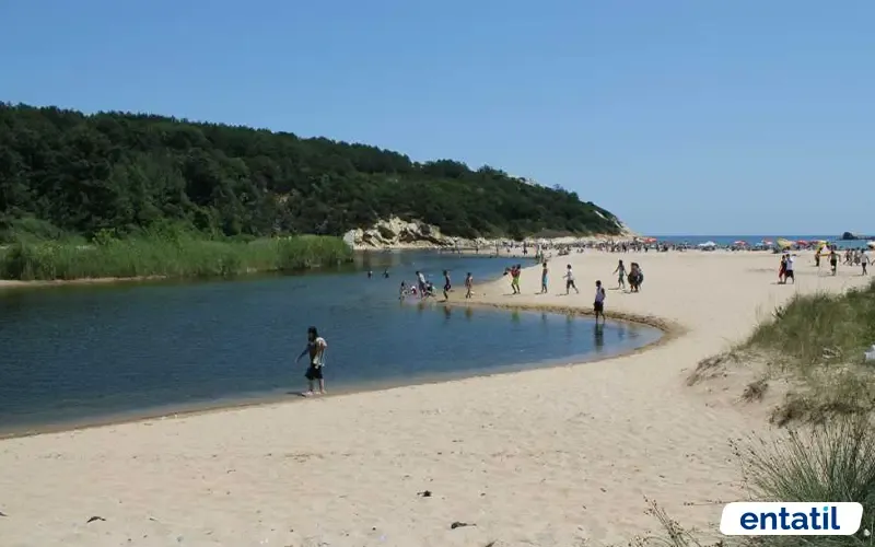 Çamlıkoy (Kastro) Tabiat Parkı