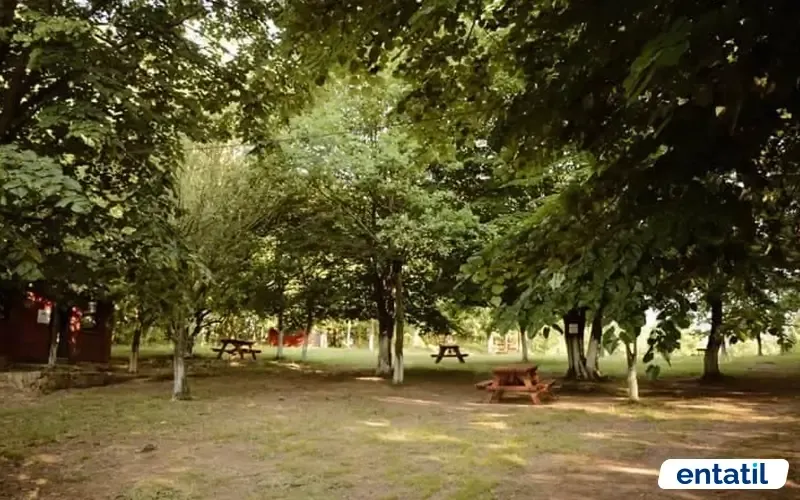 İstihkam Tepe Piknik Alanı
