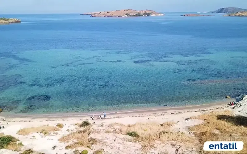 Çanak Koyu