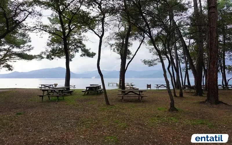 Çubucak Tabiat Parkı