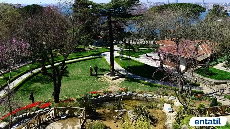Fethipaşa Korusu