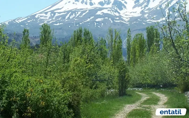 Gömbe Yaylası