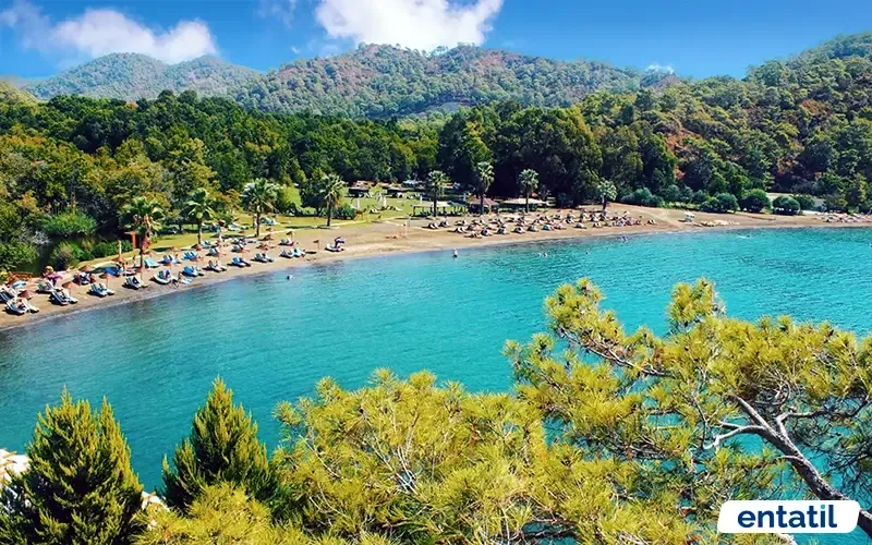 Günlüklü Koyu