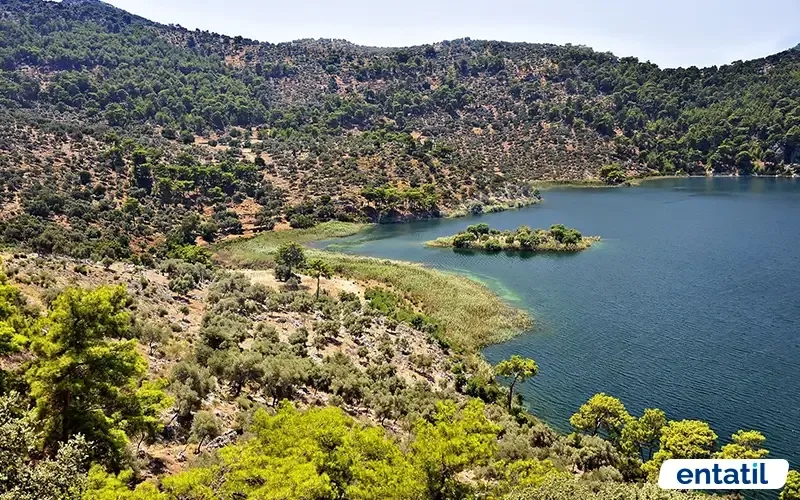 Kocagöl