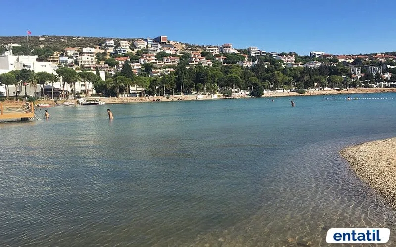 Paşalimanı Koyu