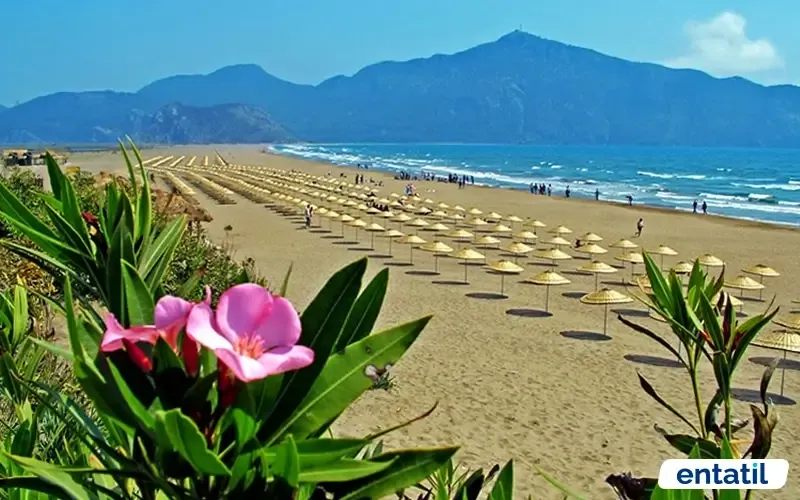 Sarıgerme Plajı