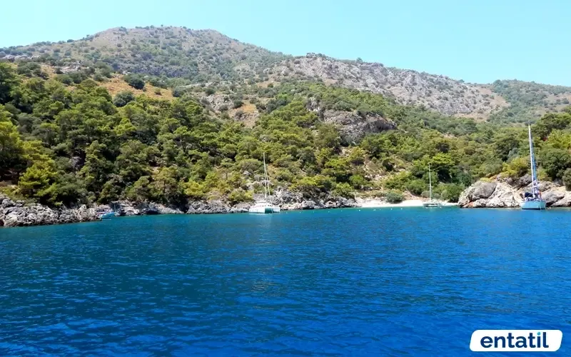 Soğuk Su Koyu