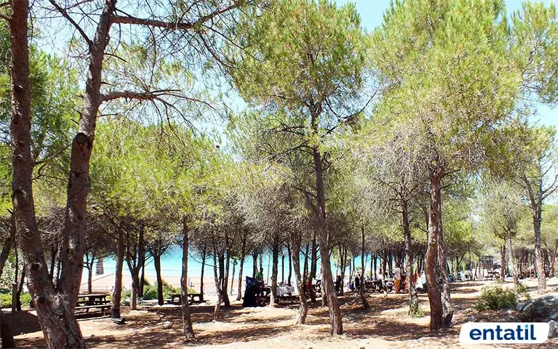 Tanay Tabia Parkı