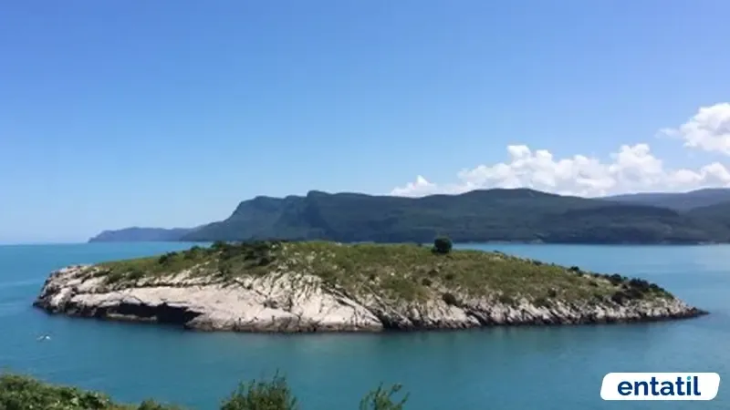 Tavşan Adası