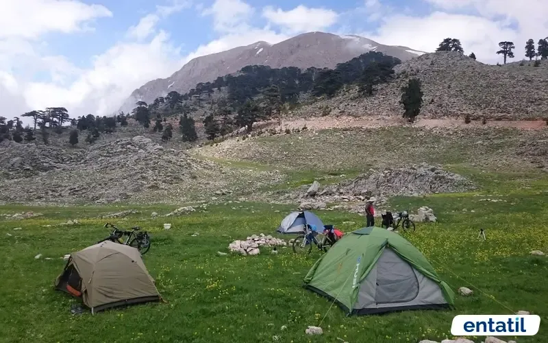 Üçoluk Yaylası