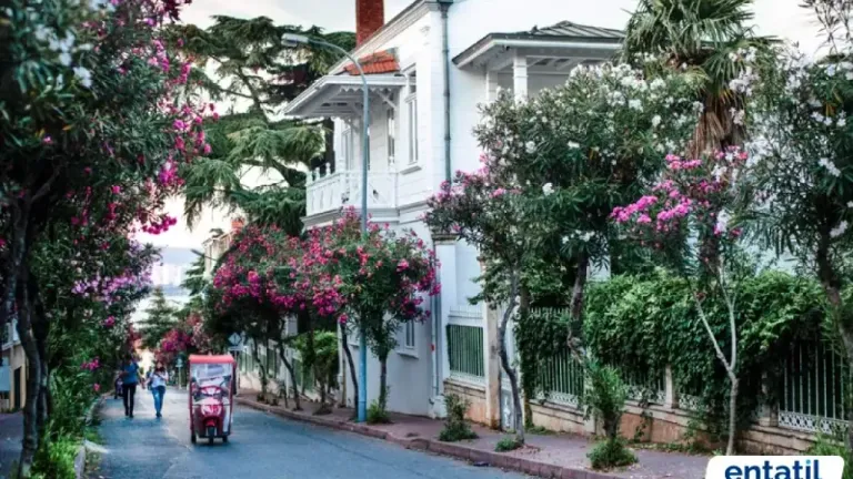 Büyükada Gezilecek Yerler