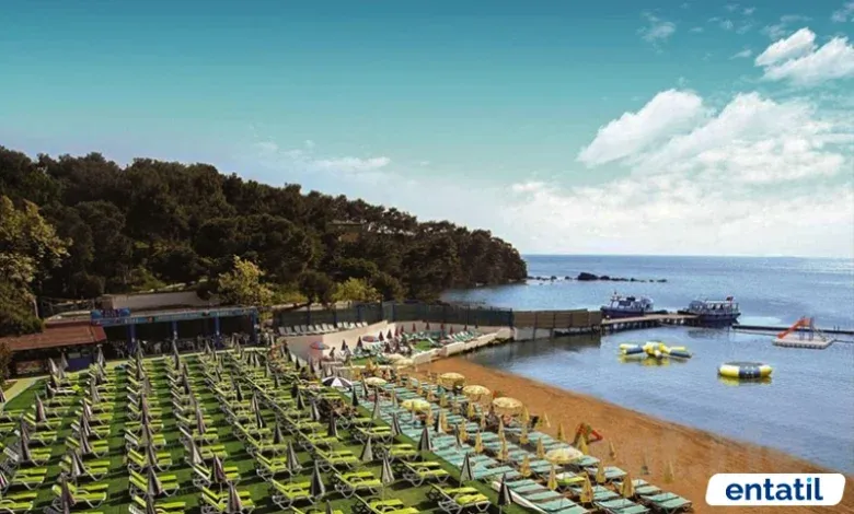 Büyükada Sahili