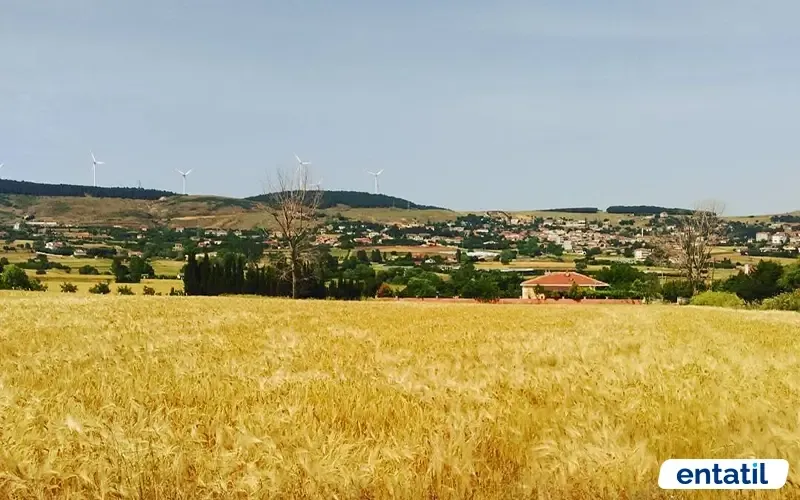 Çakıl Köyü