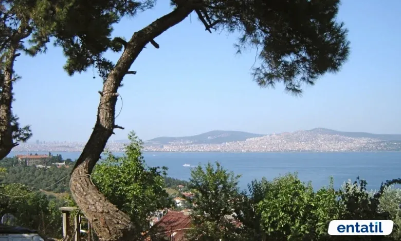 Değirmen Tepe