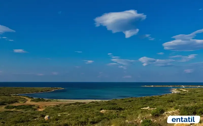 Fener Koyu