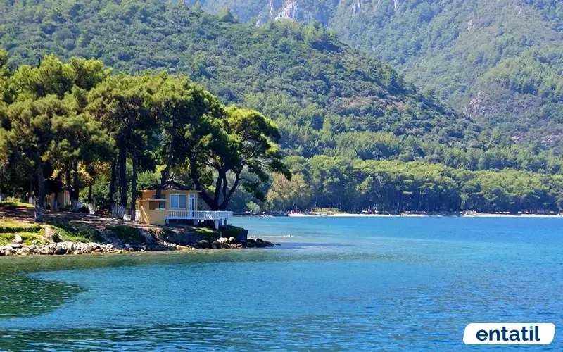 Kavaklıburun Koyu