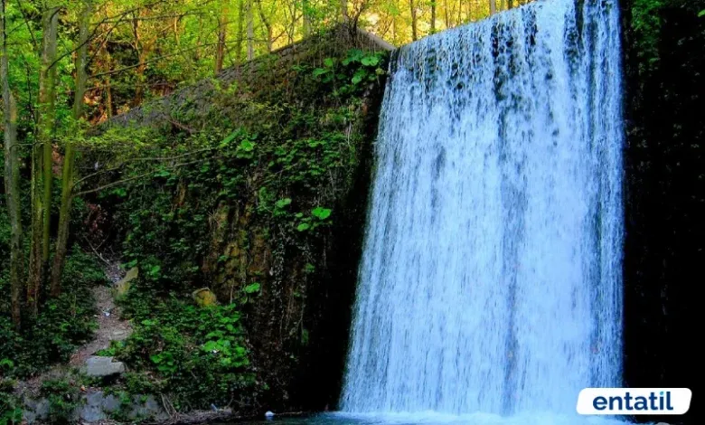 Maşukiye Şelalesi
