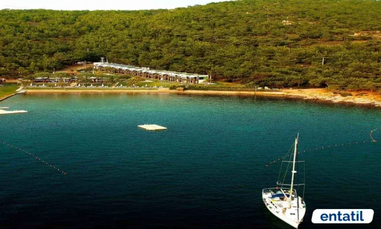 Ortunç Koyu