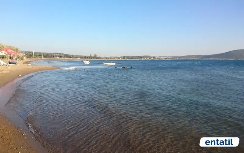 Torasan Kamping