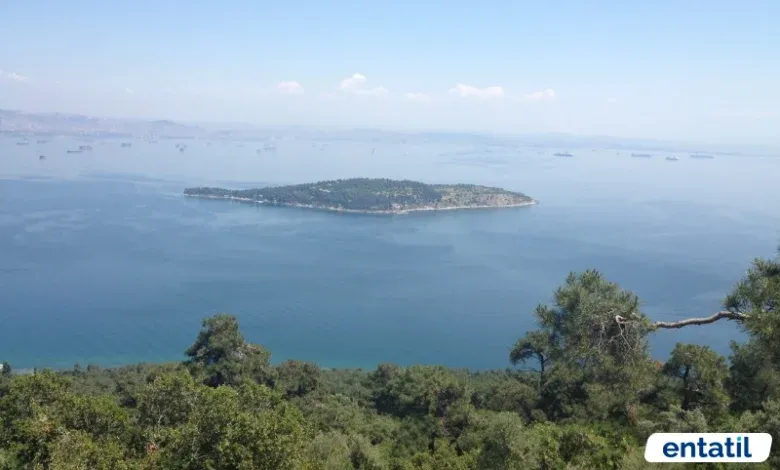 Yücetepe