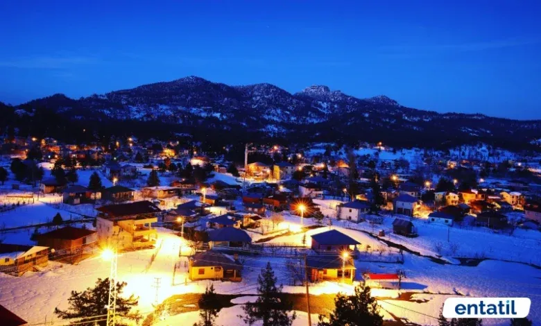 Aladağ Meydan Yaylası
