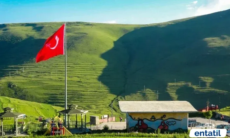 Atatürk Silüeti