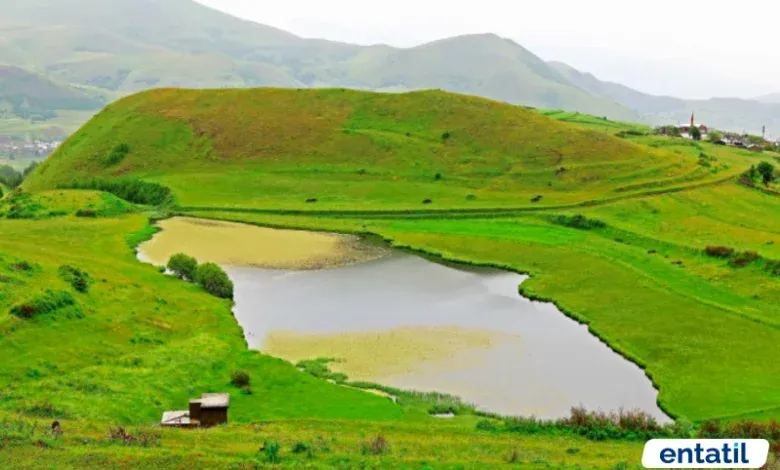 Balık Gölü