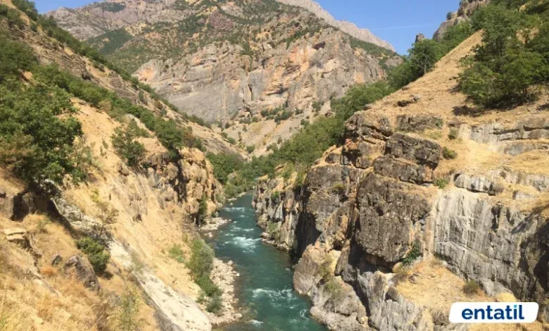 Çakın Vadisi