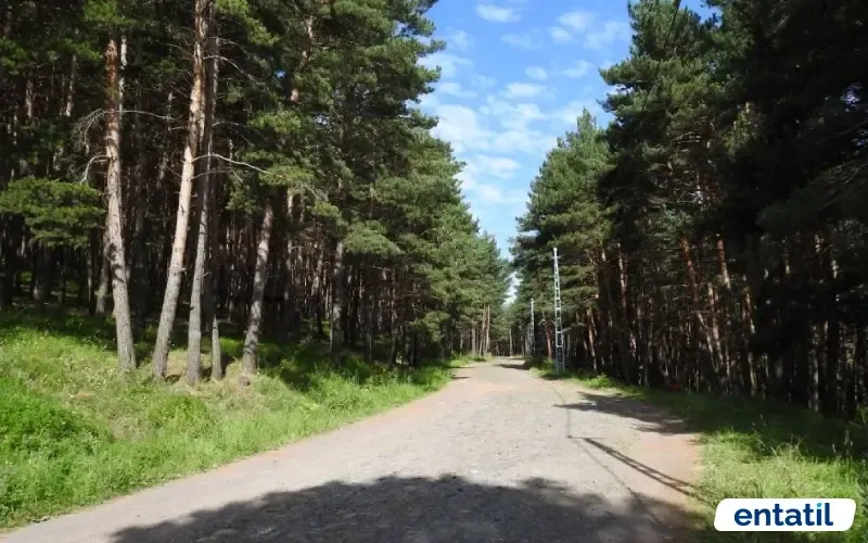 Cemal Tural Tabiat Parkı