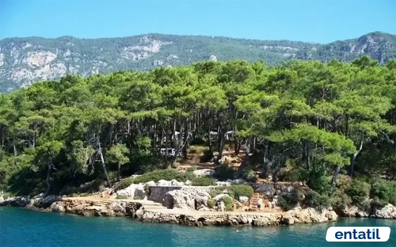 Çetibeli Orman Kampı
