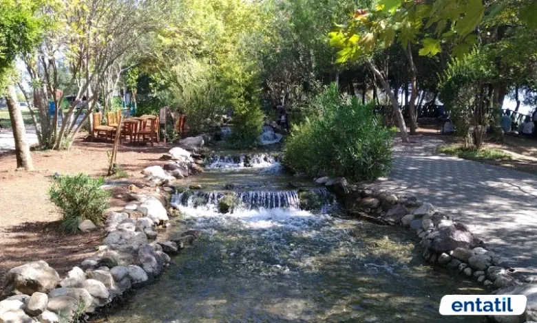 Çobandede Yerel Kuş Parkı